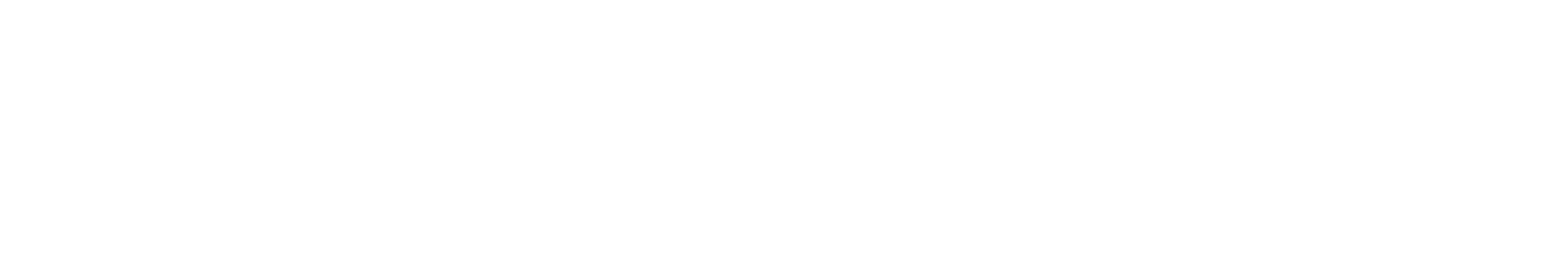 EBG Holdings